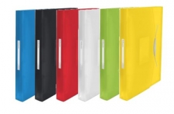 Teczka z 6 przegródkami ESSELTE VIVIDA