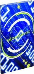 Zeszyty, skorowidze, dzienniki korespondencyjne